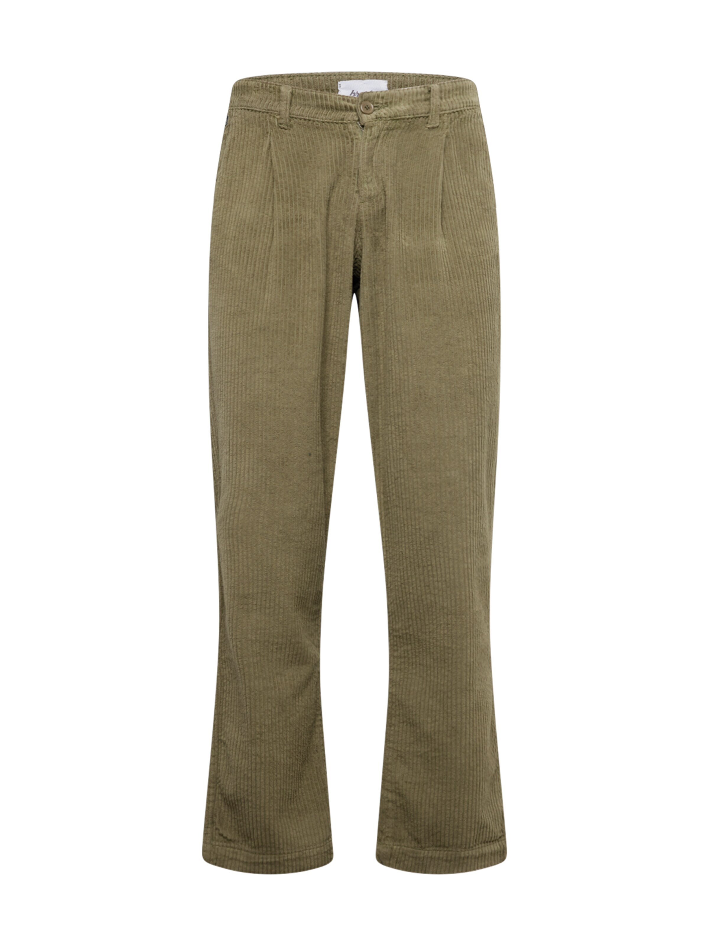 regular Pantaloni con pieghe di Brava Fabrics in verde: frontale