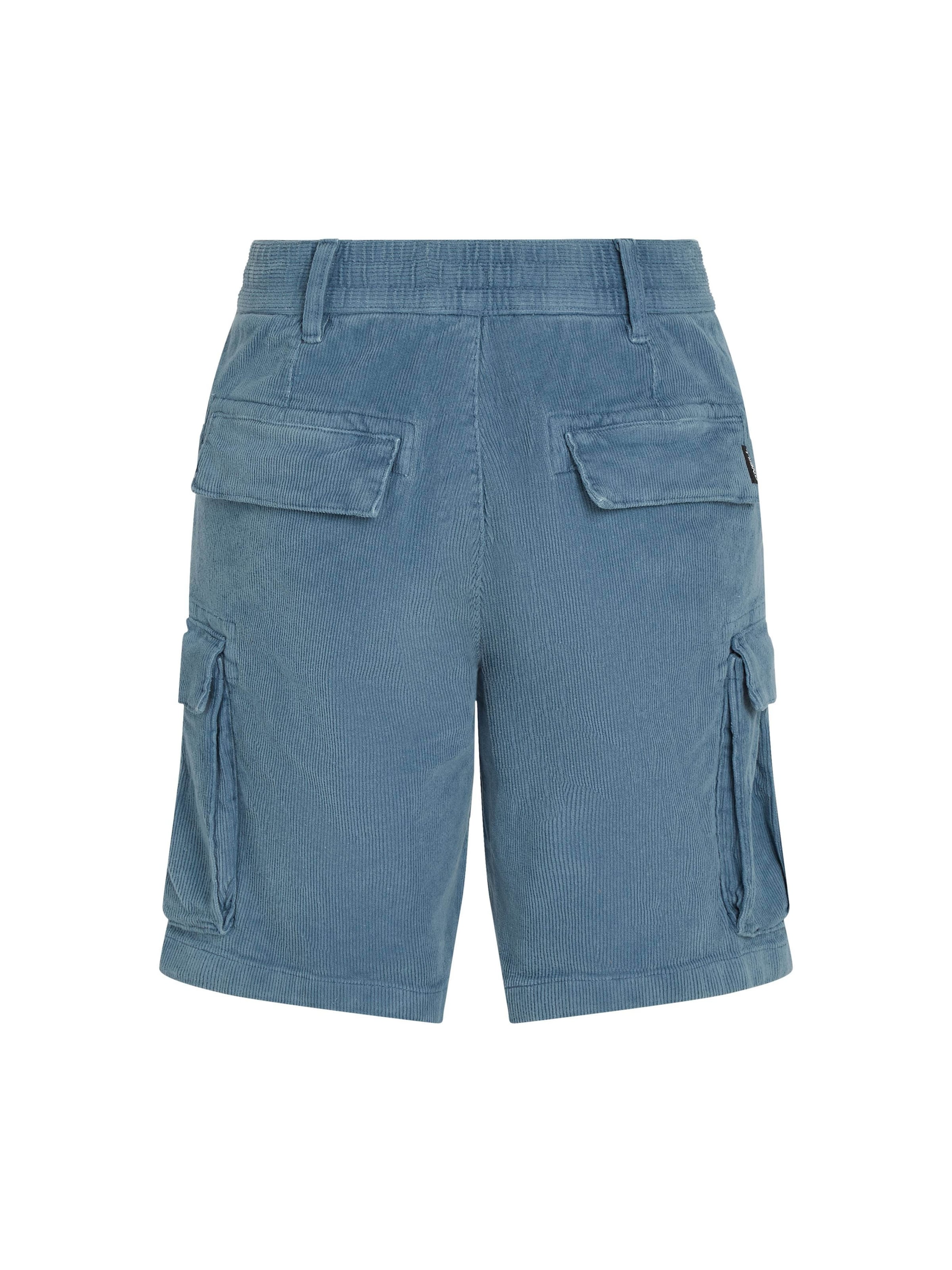 O'NEILL Regularen Kargo hlače | modra barva