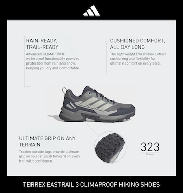 ADIDAS TERREX Χαμηλό παπούτσι 'Eastrail 3' σε γκρι