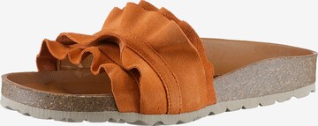 VERBENAS Mules in Brown: front