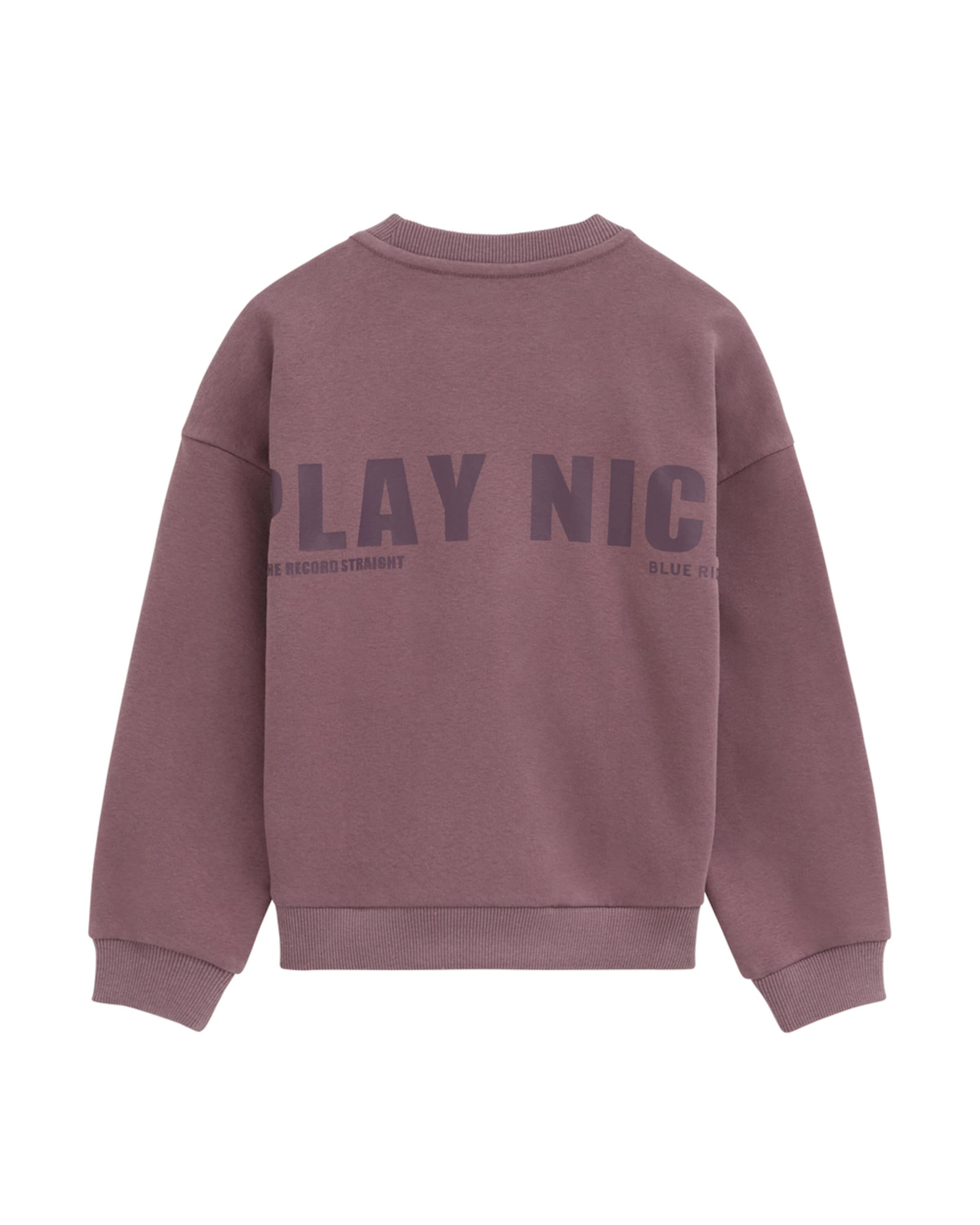 WE Fashion Sweatshirt in Lila