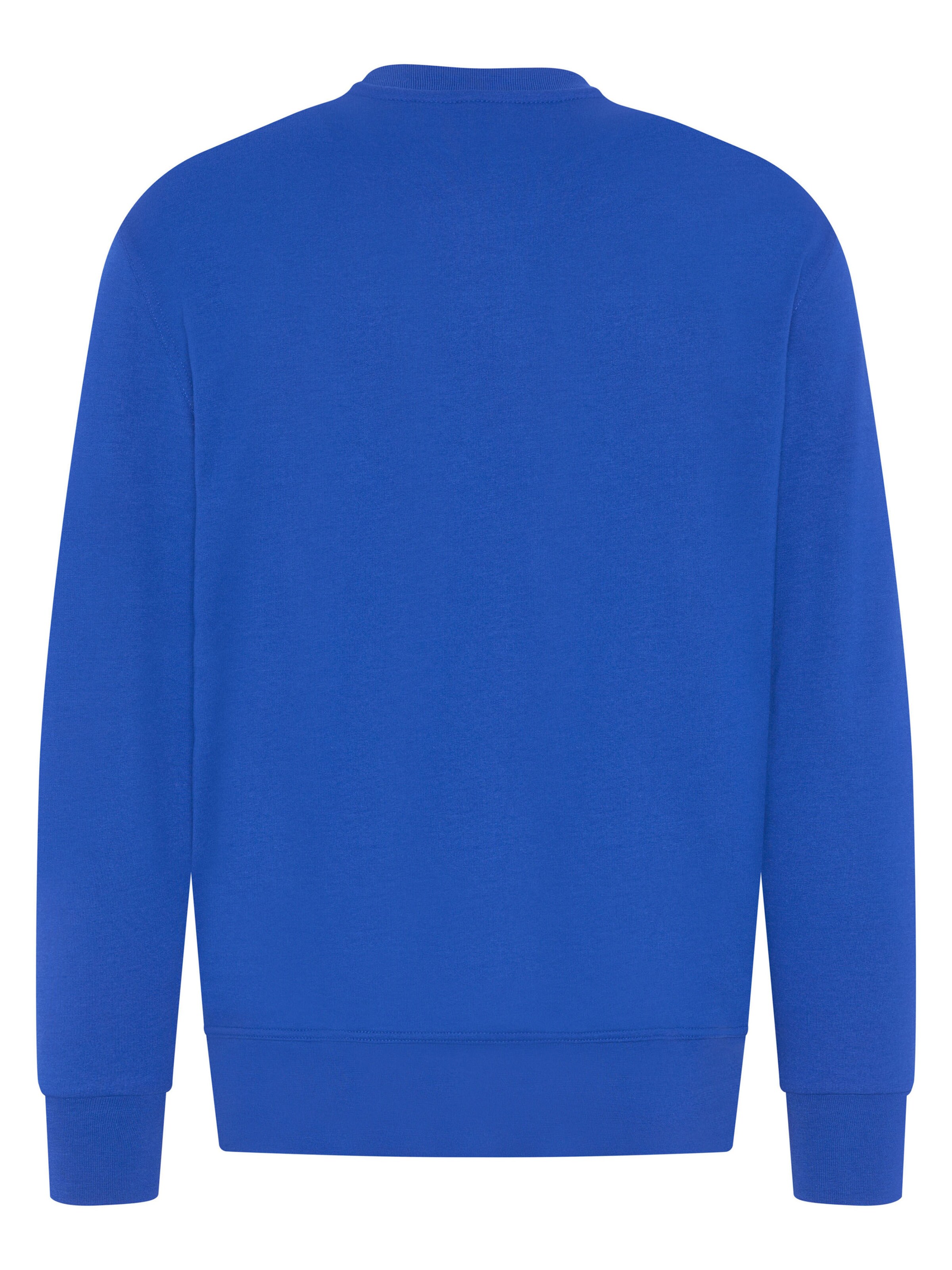 Expand Sweatshirt in Blue