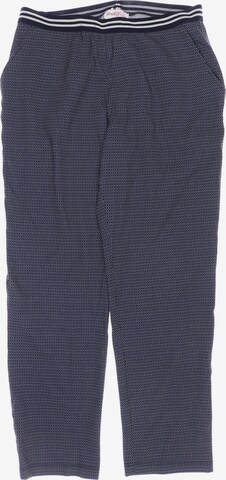 SHEEGO Pants in XL in Blue: front
