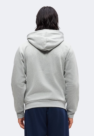 Veste de survêtement 'EVOLUTION SIMPLE DOME' THE NORTH FACE en gris
