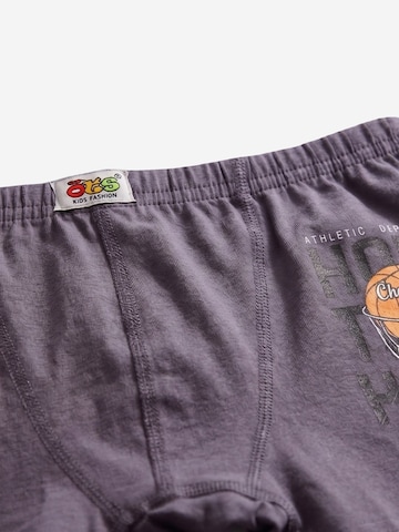 ÖTSGaće 'ÖTS Herren Boxerbriefs' - miks boja boja