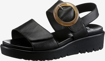 ARA Sandals in Black: front