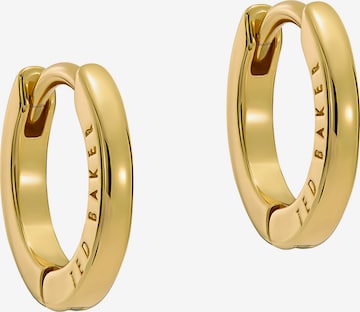 Ted Baker Ohrringe in Gold: Vorderseite