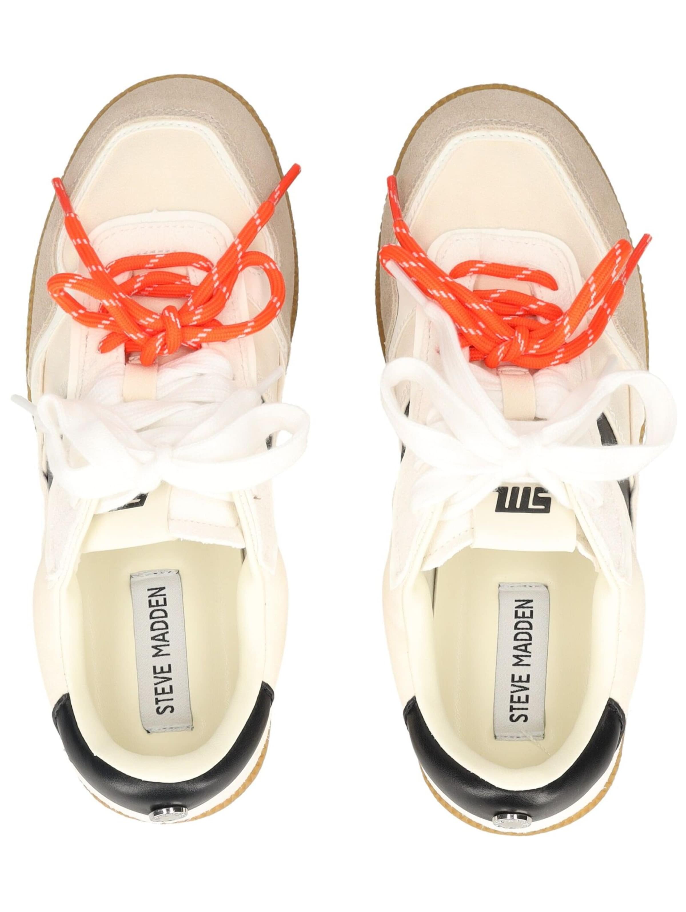 Baskets basses STEVE MADDEN en blanc