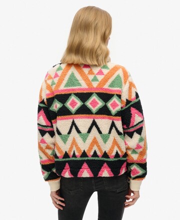 Superdry & Co Trui in Gemengde kleuren