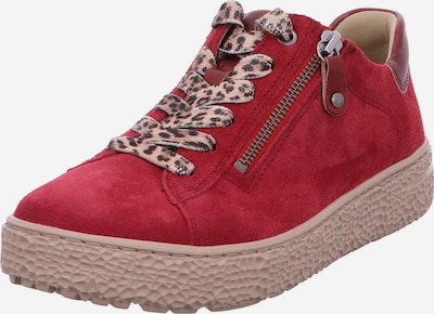 Hartjes Sneaker in karminrot / dunkelrot, Produktansicht