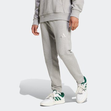 Tapered Pantaloni sportivi di ADIDAS SPORTSWEAR in grigio: frontale