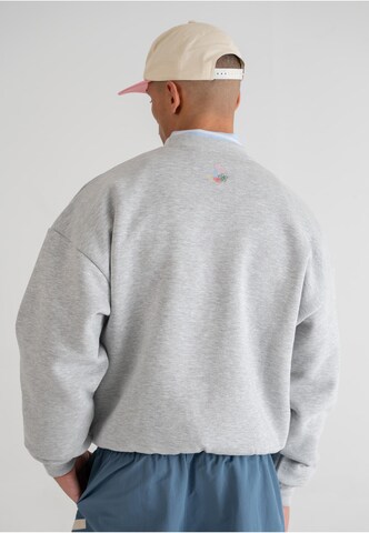 Prohibited Sweatshirt 'Bohemian' in Grau
