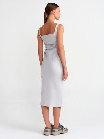 Dilvin Midi Kleid in Grau