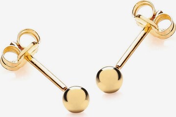 Lucardi Earrings 'Klassisch' in Gold: front