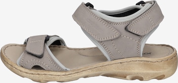 JOSEF SEIBEL Hiking Sandals 'Lene' in Grey: front