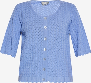 Usha Knit Cardigan in Blue: front