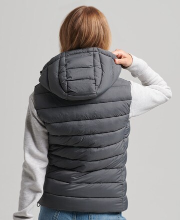 Superdry Bodywarmer in Bruin