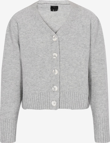 DreiMaster Klassik Strickjacke in Grau: Vorderseite