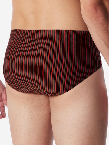 SCHIESSER Slip '95/5 Essentials - Cotton' in Gemengde kleuren