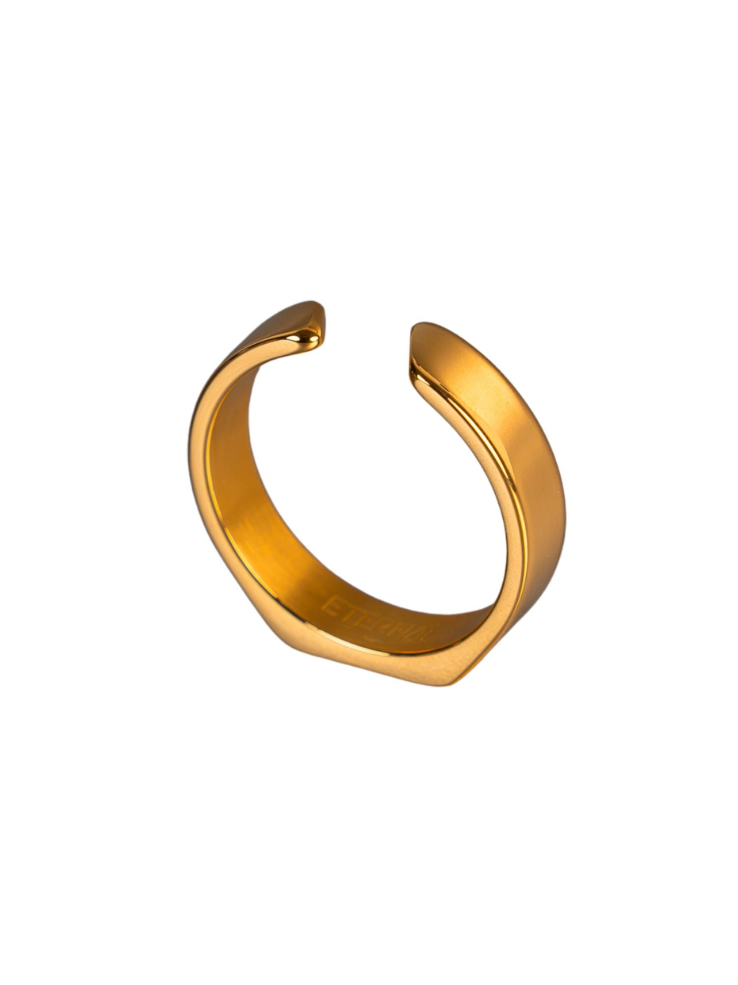Eternal Ring 'Minimal Siegel' in Gold: front