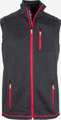 FORSBERG Vest in Grey: front