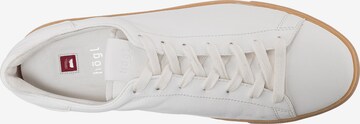 Högl Sneakers 'Glammy' in White