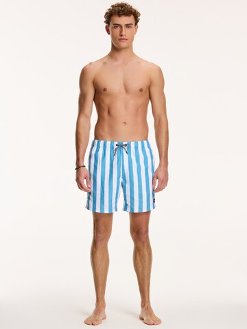 Shorts de bain Shiwi en bleu