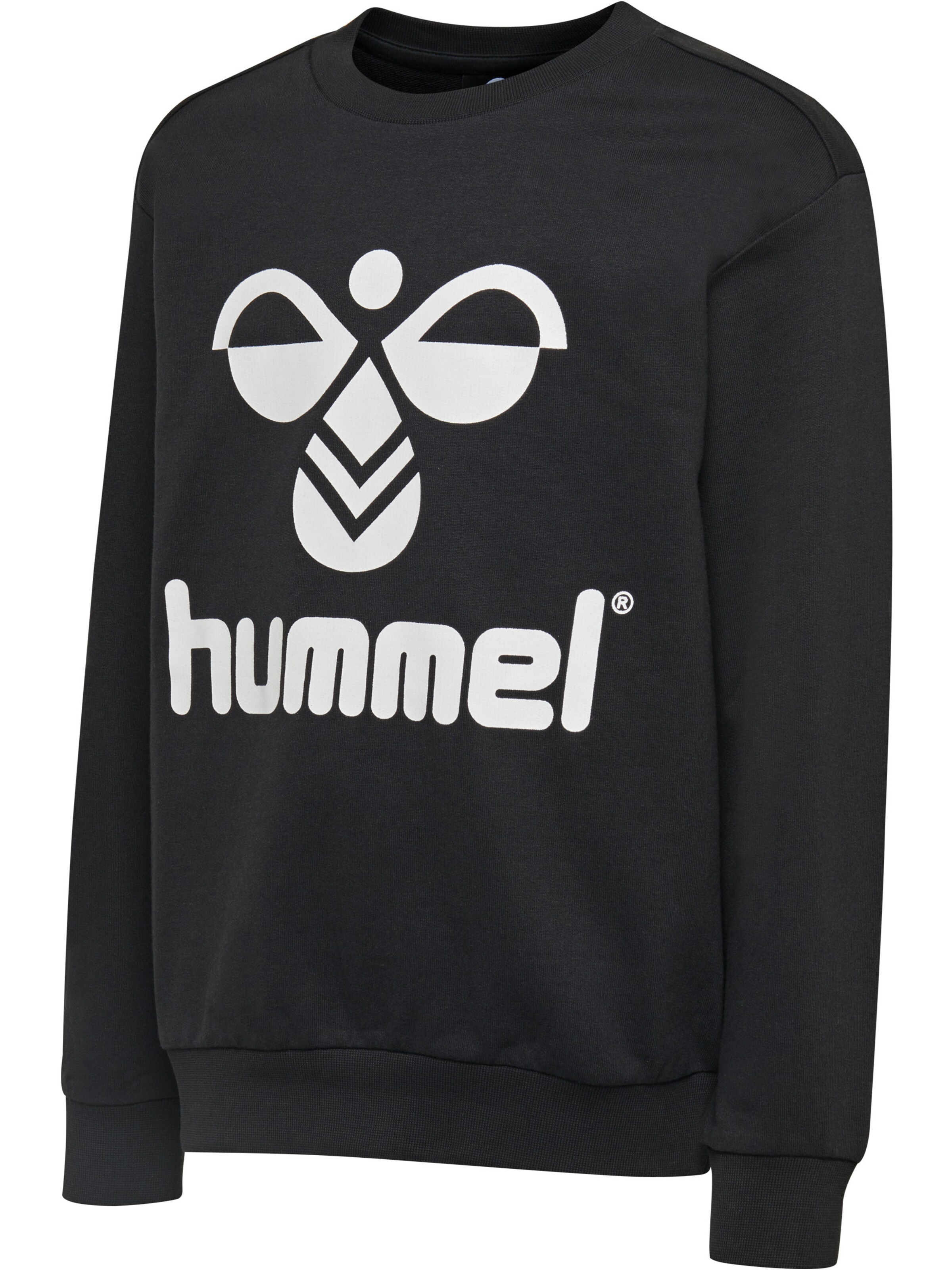 Hummel Sweatshirt 'Dos' in Schwarz