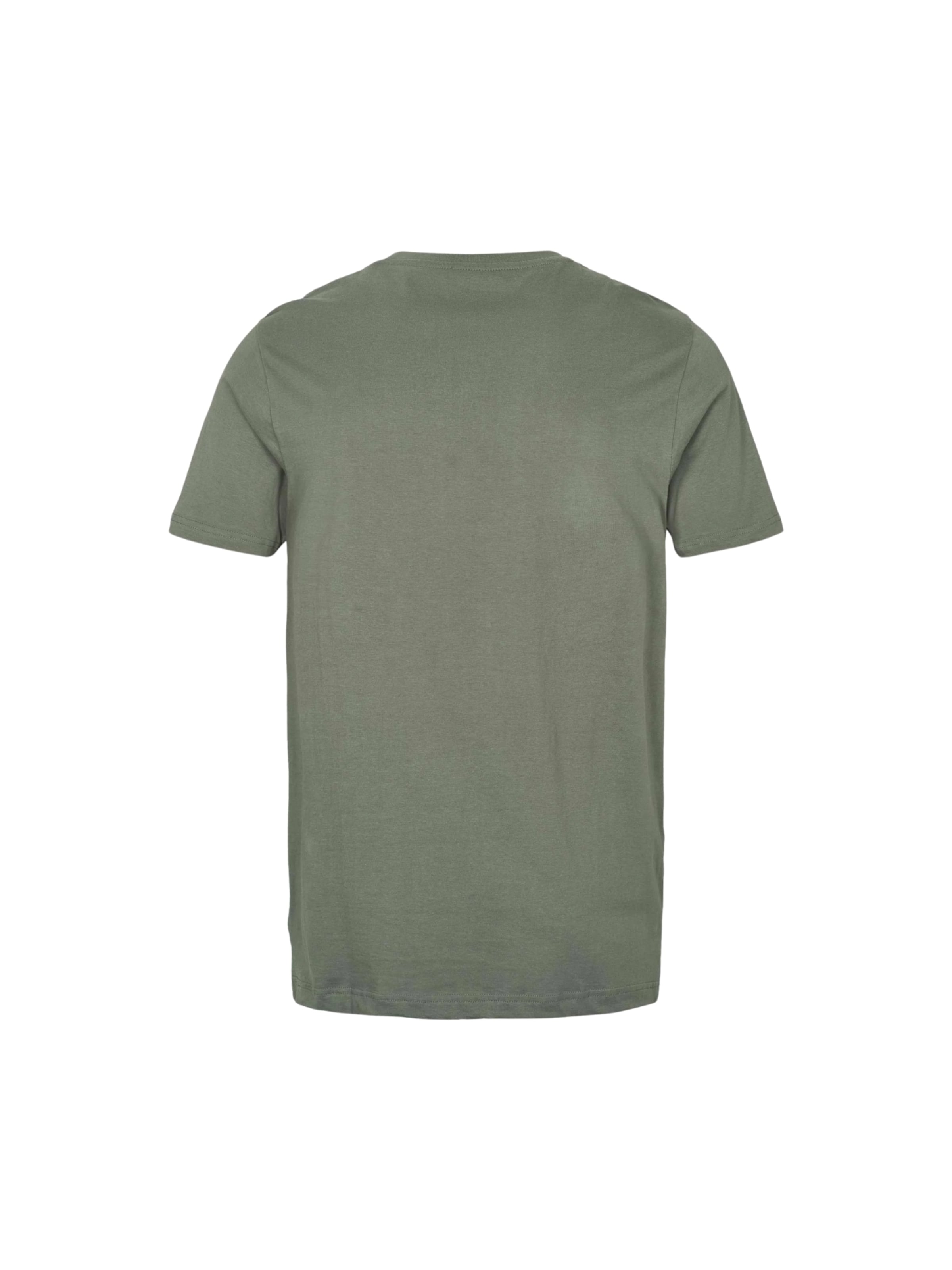 Coupe regular Chemise ' DPM 10 Pack ' Denim Project en gris