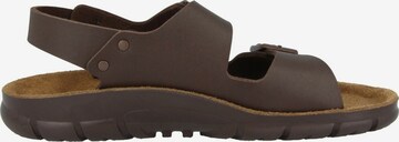 BIRKENSTOCK Sandale ' Kano ' in Braun