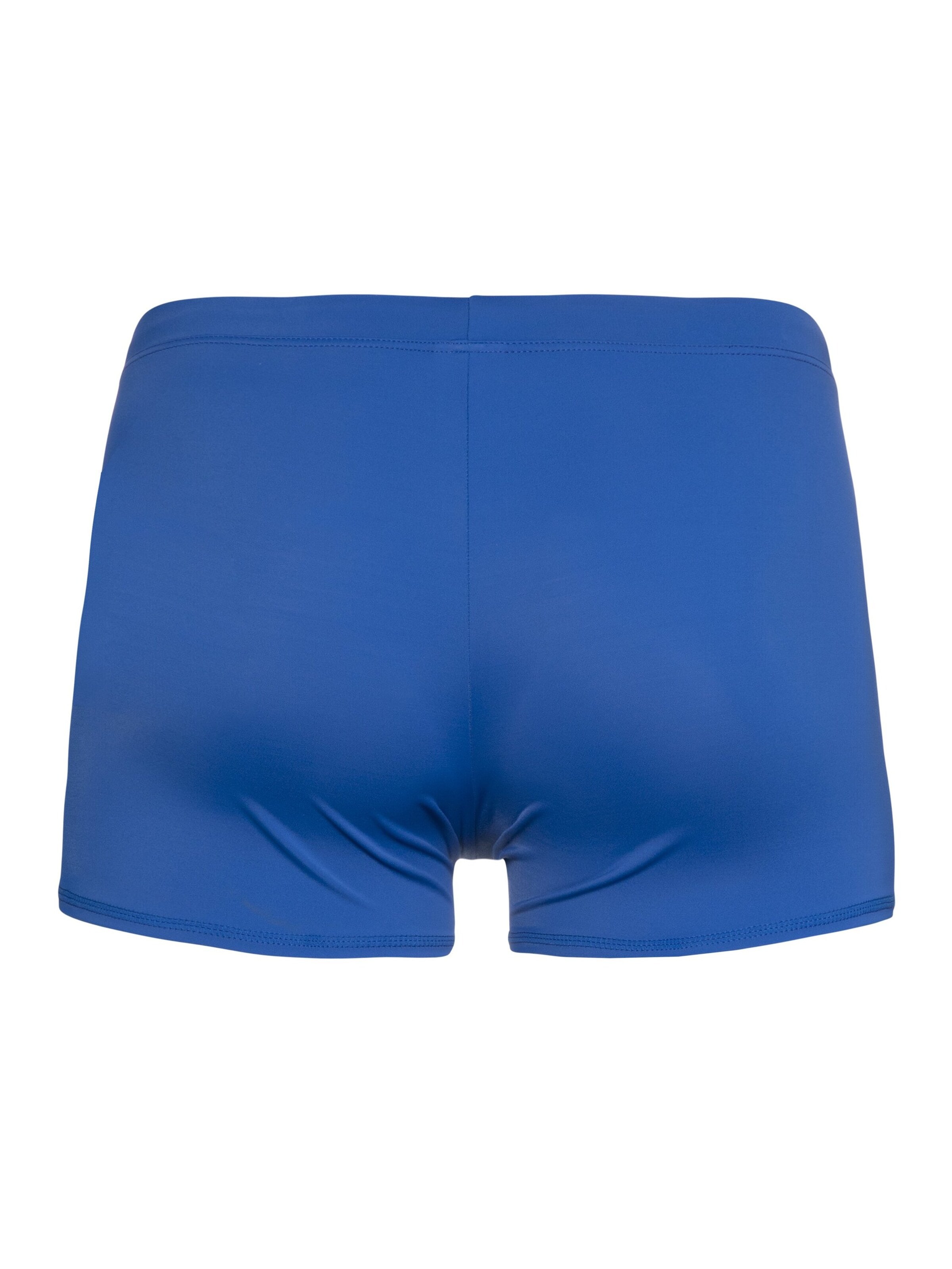 PROTEST Bathing trunks 'CARST' in Blue