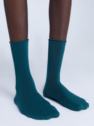 Albero Natur Socks 'Bio-Baumwoll-Socken mit Rollrand Unisex – 6er Pack' in Green: front