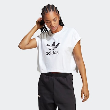 ADIDAS ORIGINALS Μπλουζάκι 'Adicolor Classics Trefoil' σε λευκό: μπροστά