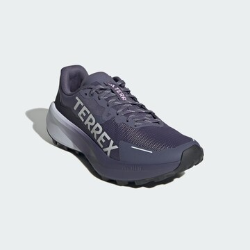 Chaussure basse 'Agravic 3' ADIDAS TERREX en violet
