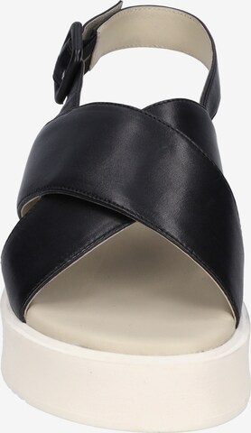 GERRY WEBER Strap Sandals 'Cervo 01' in Black