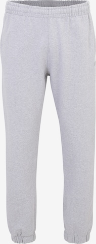 THAT GORILLA BRAND Regular Pants in Grey: front