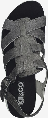 IGI&CO Sandalen met riem in Grijs