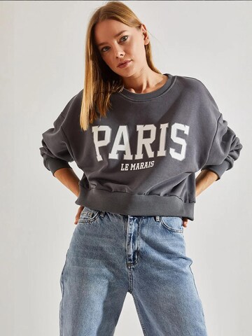 Bianco Lucci Sweatshirt 'Sweatshirts'‌‌‌‌‌ in Grau: Vorderseite