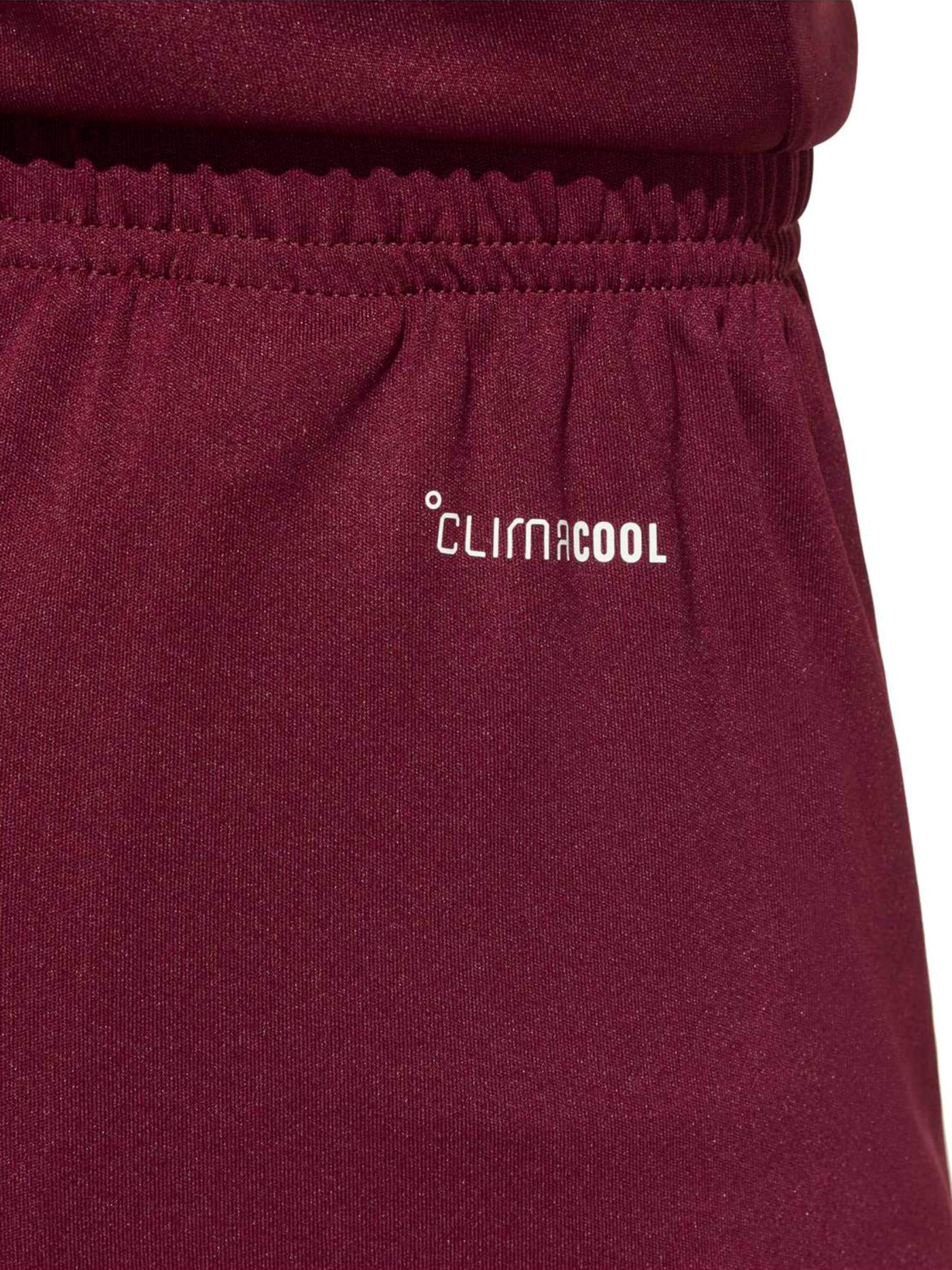 ADIDAS PERFORMANCE - regular Pantalón deportivo 'ENT26' en rojo