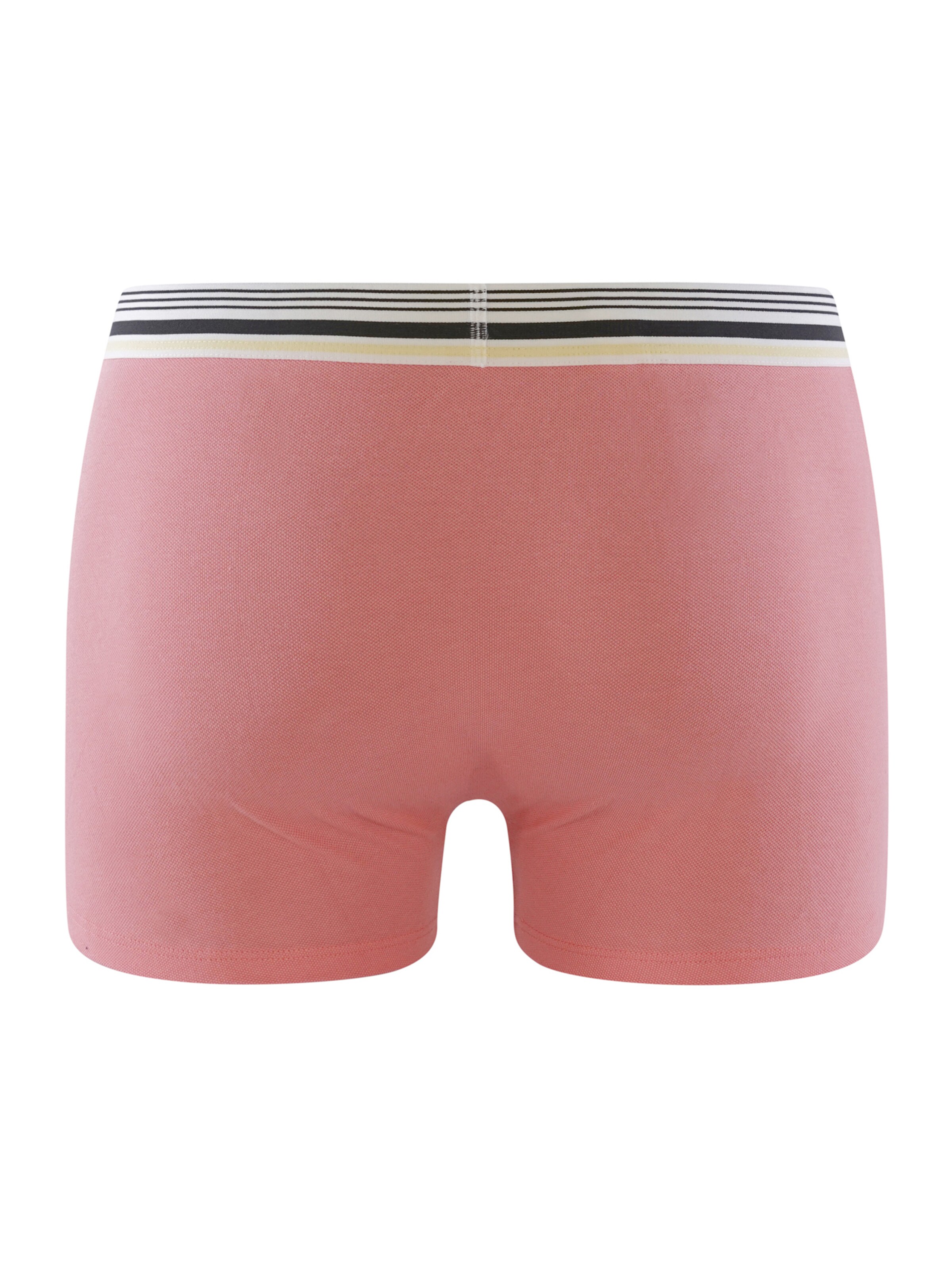 DIM Boxershorts 'Smart' in Pink