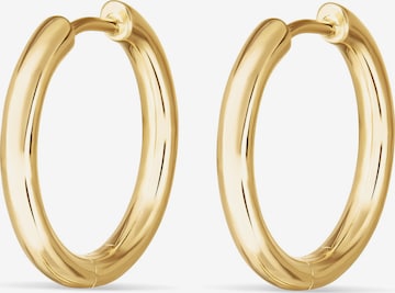 ESPRIT Earrings in Gold: front