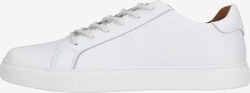 Virtus Sneakers 'Britannia' in White