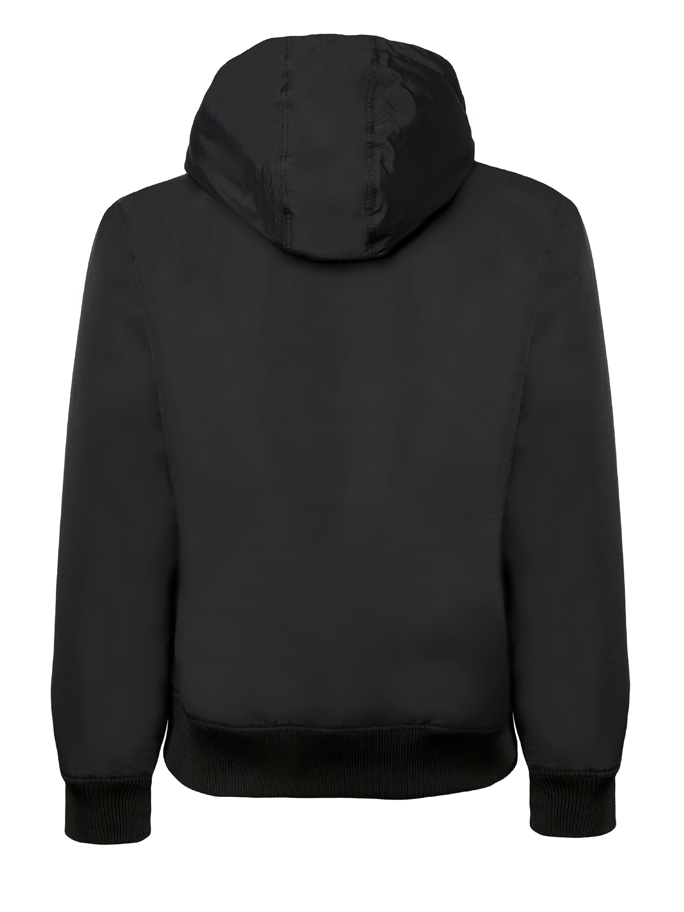 DICKIES Overgangsjakke 'New Sarpy' i sort