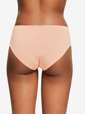 ESPRIT Panty in Orange