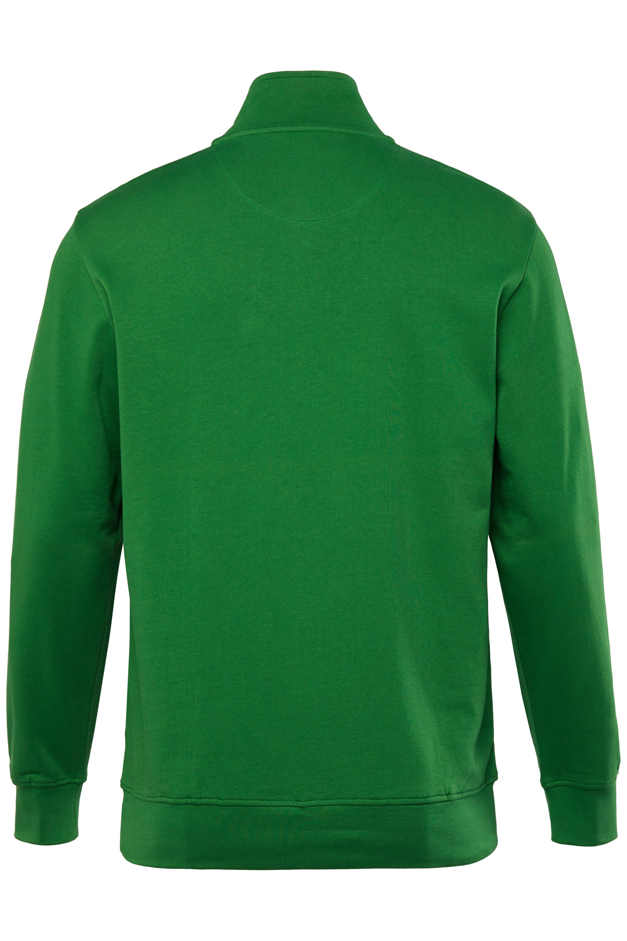 Men Plus Sweatshirt in Groen