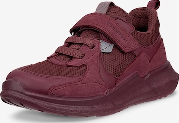 ECCO Sneaker 'BIOM 2.2' in Rot: Vorderseite