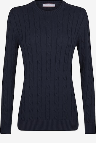 zils Felix Hardy Džemperis: no priekšpuses