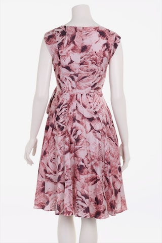 Phase Eight Dress in XS in Pink