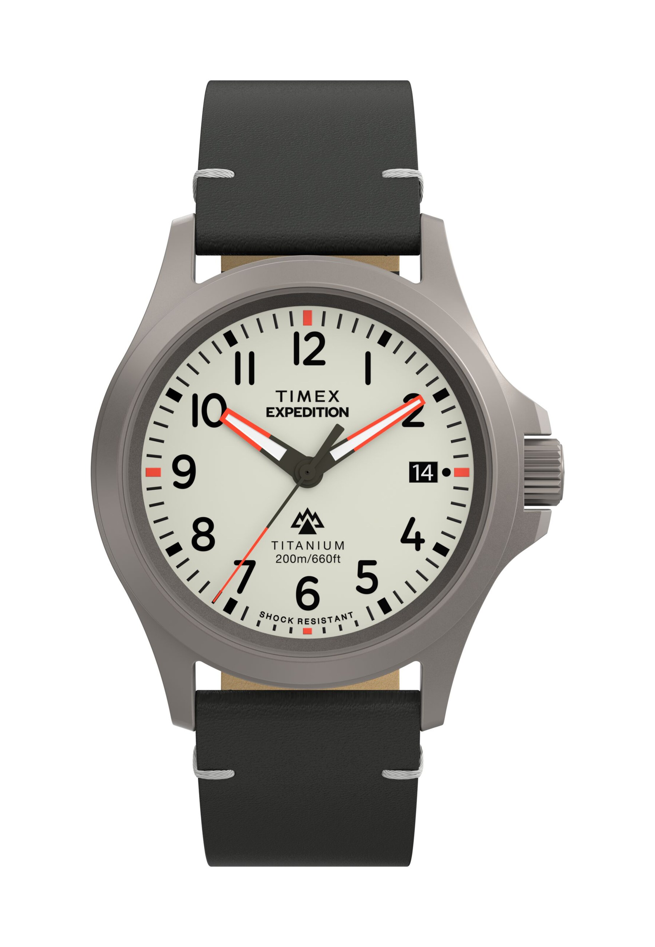 TIMEX Uhr 'Expedition North' in Grau: Vorderseite