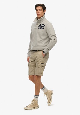 Superdry Regular Cargobroek in Grijs